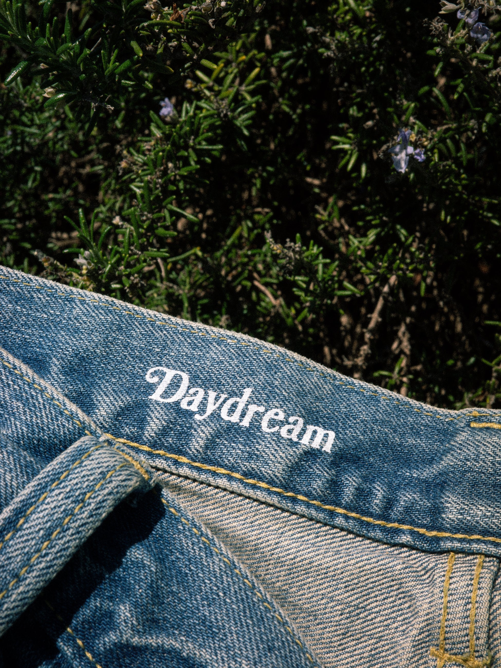 Daydream Spring POP UP