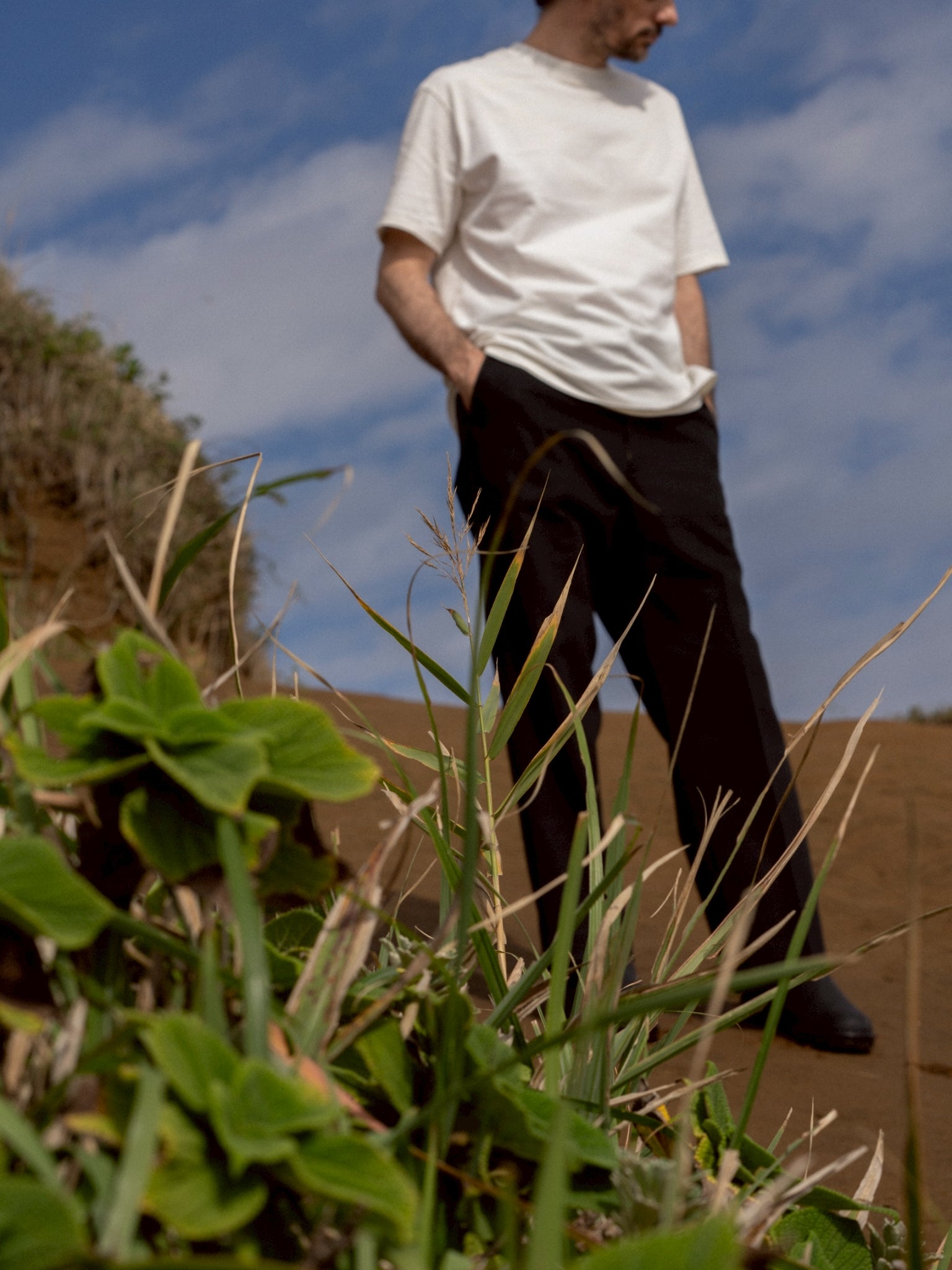 Daydream Harbor Trousers – DAYDREAM