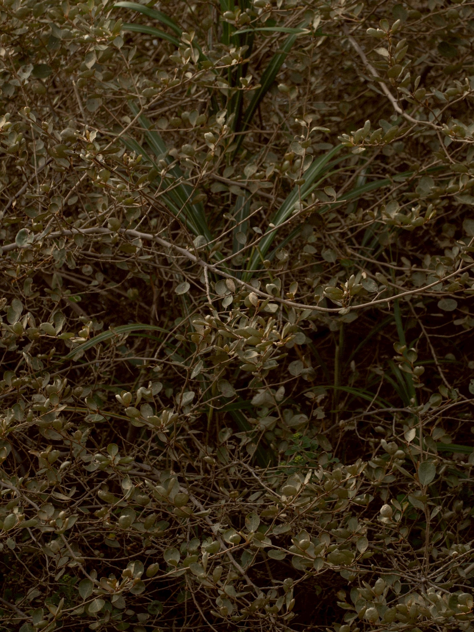 LINE_ALBUM_DAYDREAM 2025AW FIX_251115_158.jpg